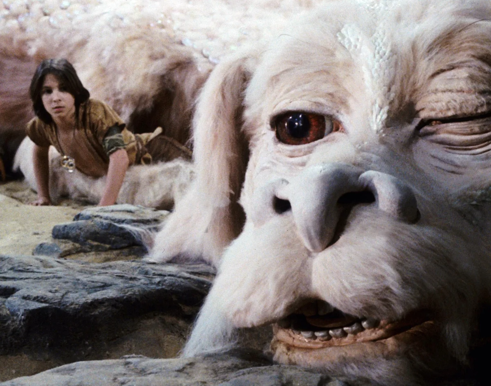 The Never Ending Story image