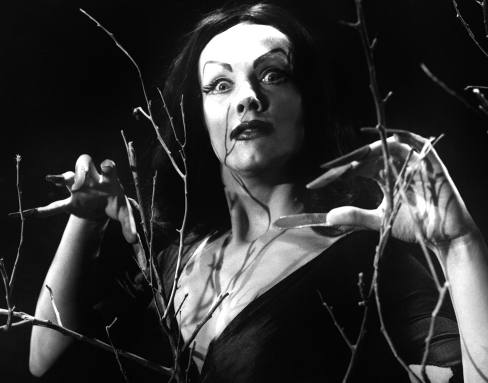 I Was a Teenage Surfer Zombie from Mars: A Beginner’s Guide to Cult Cinema (abridged) image