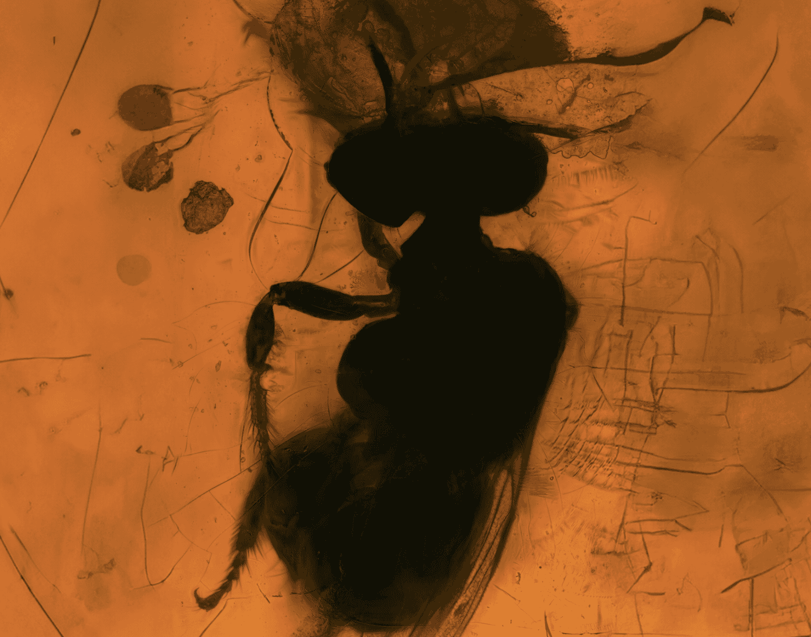 The Hive presents: TO BE – Performed by Karman Line Collective image