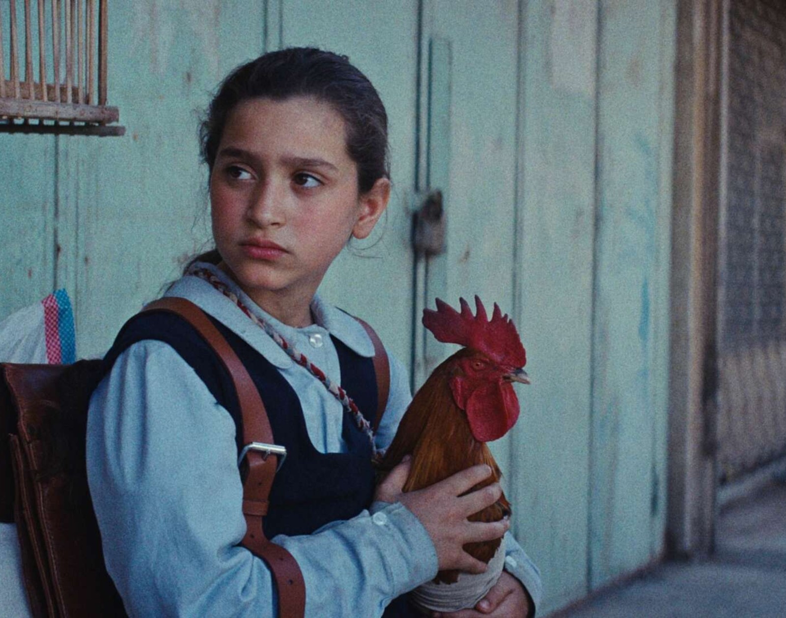 The President's Cake image