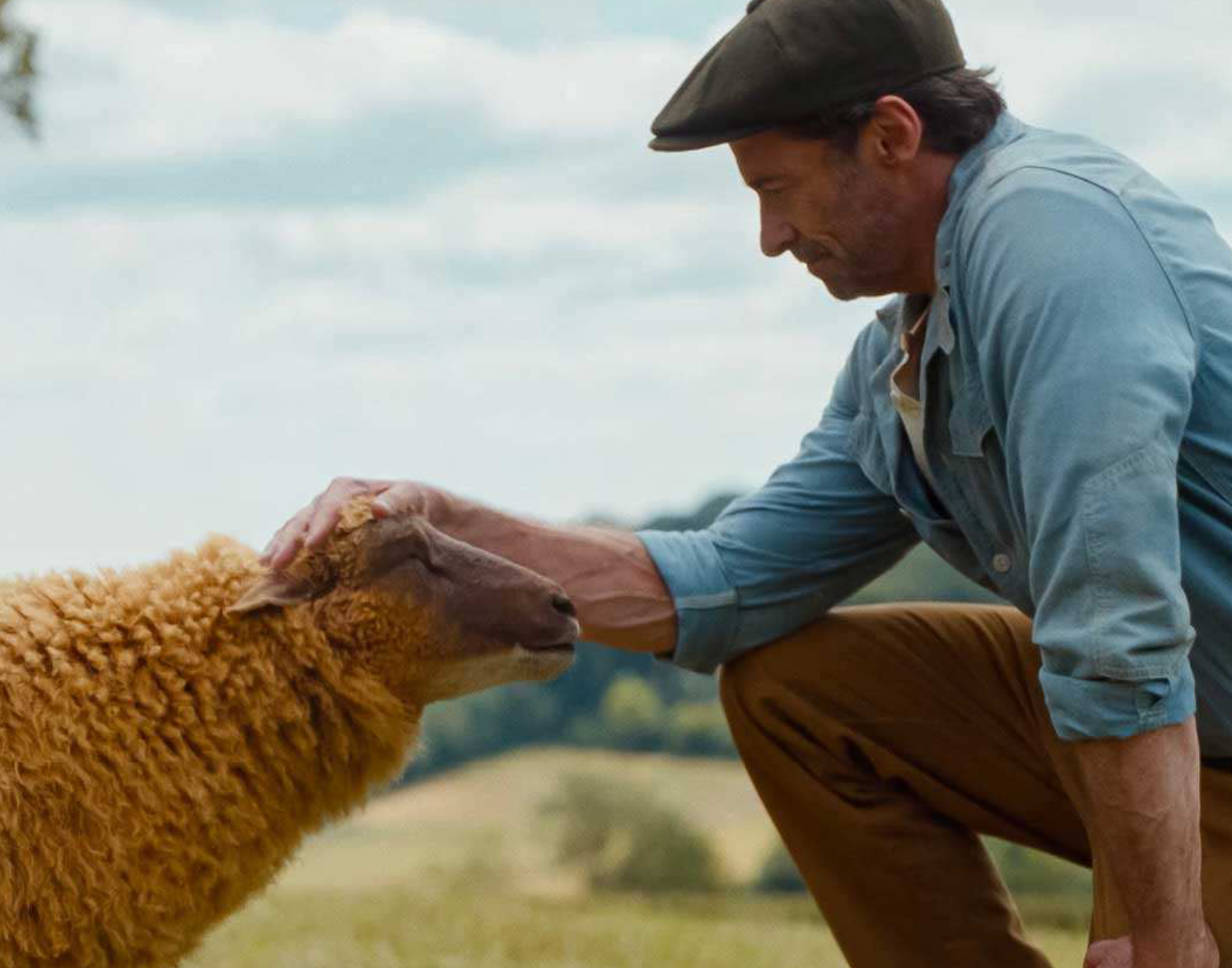 The Sheep Detectives image