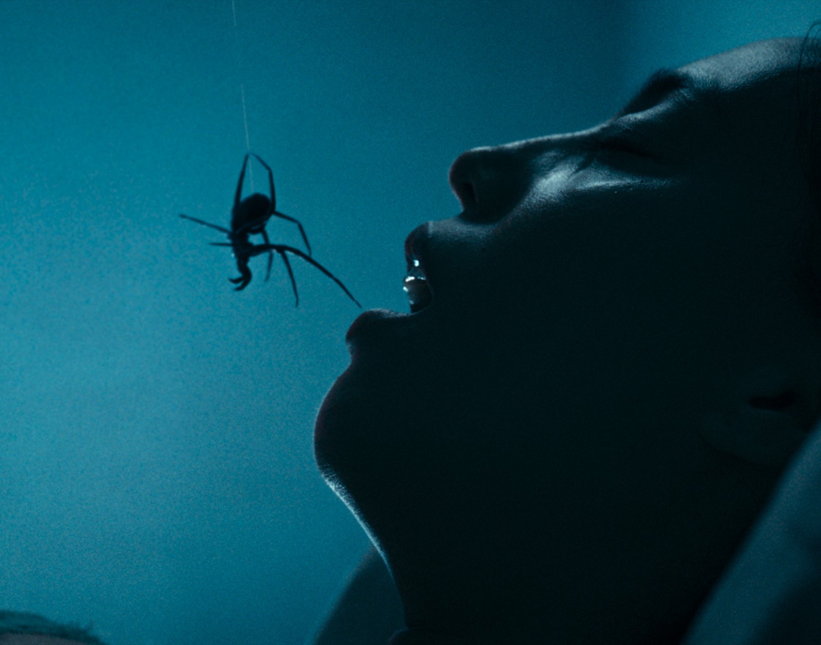 Mayhem 2026: Crawlers image