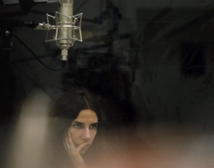 A-DOG-CALLED-MONEY-BANNER