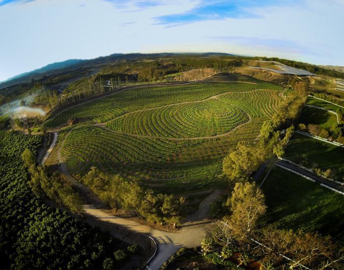 THE-BIGGEST-LITTLE-FARM-BANNER