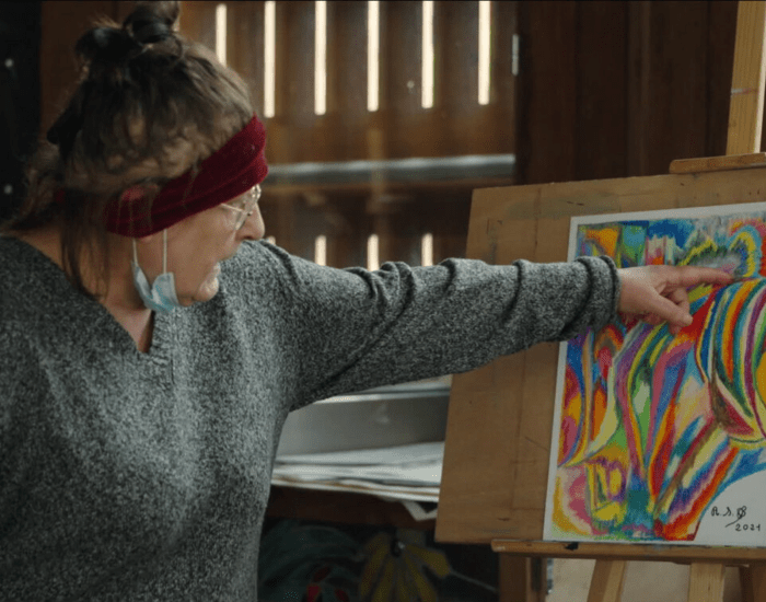 On the Adamant image