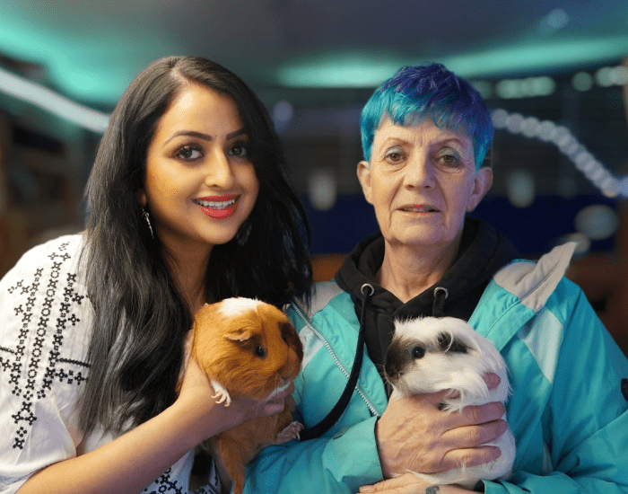 The Keeper of the Pigs image