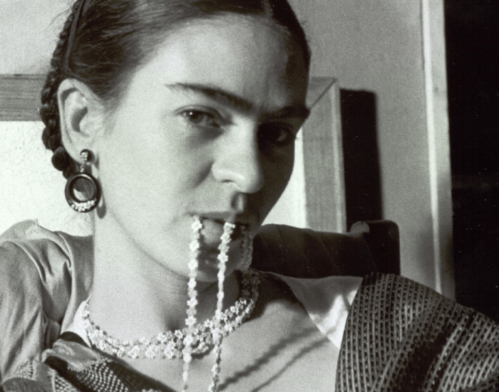 Frida image