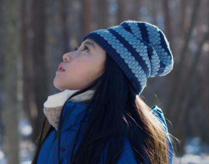 Evil_Does_Not_Exist_Banner