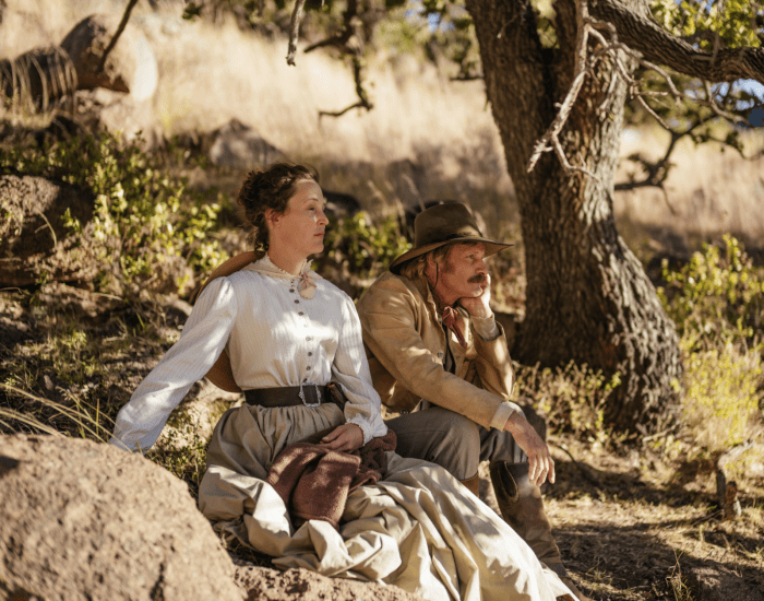 The Dead Don't Hurt banner