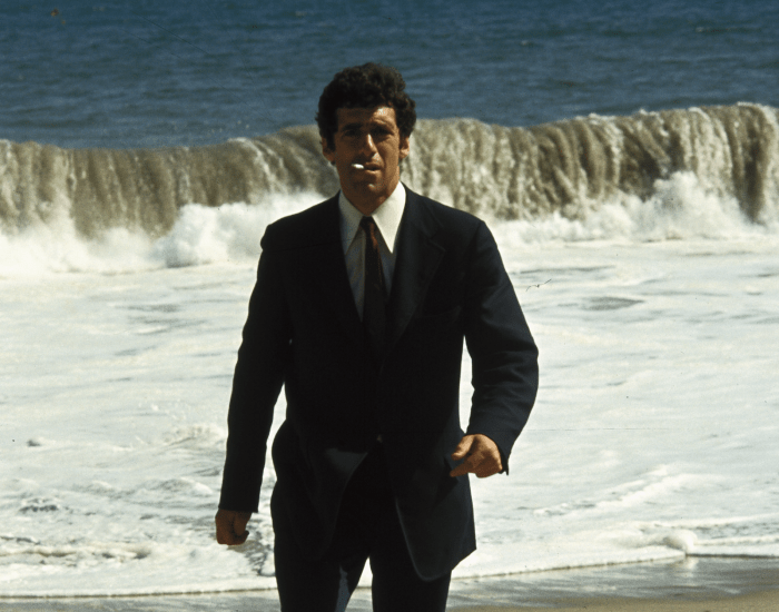 The Long Goodbye image