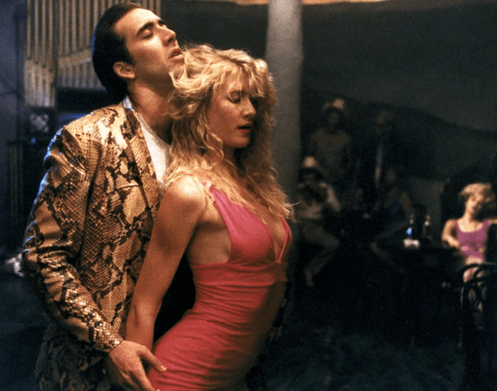Wild at Heart image