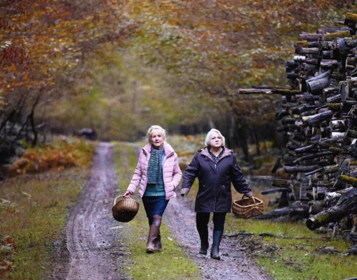 Autumn_Falls_Web_Banner