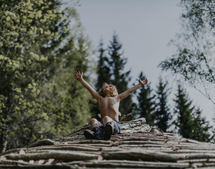 A New Kind of Wilderness image