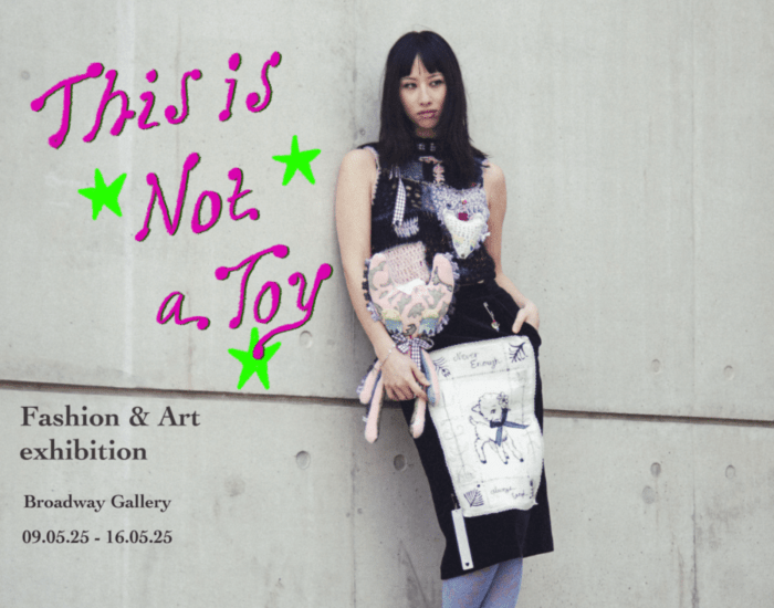 This is Not a Toy web banner