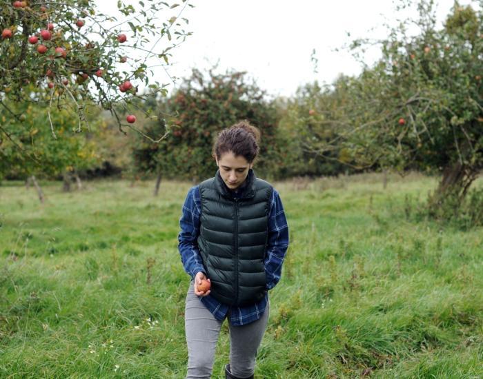 The Levelling image