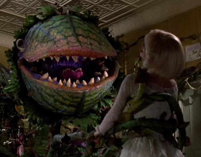 Little Shop of Horrors image