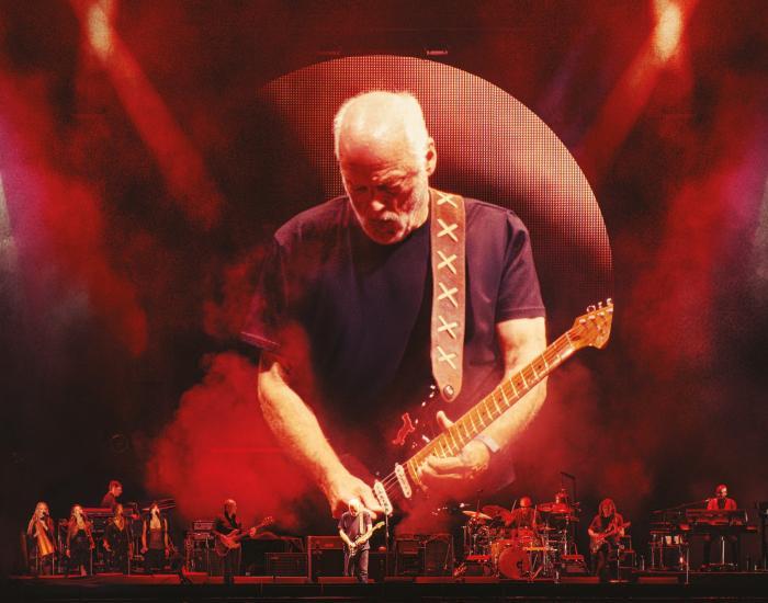David Gilmour image