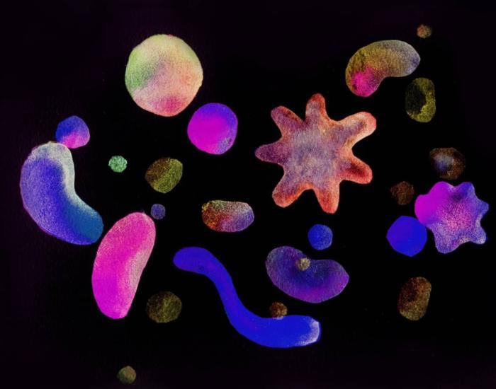 Drawing of multicoloured microorganisms of by artist Gabriela Rogula