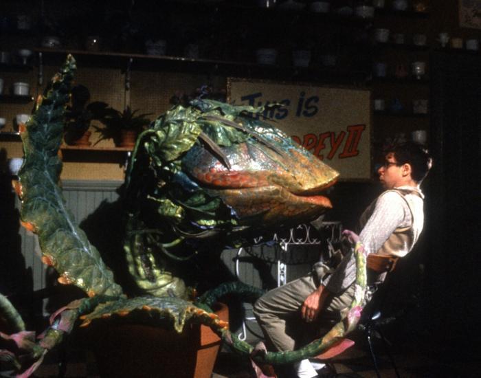 Little Shop of Horrors image