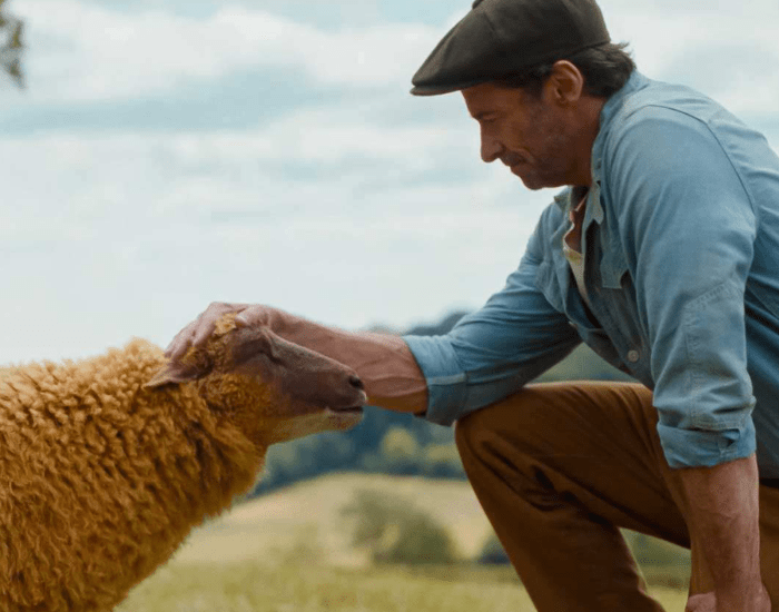The Sheep Detectives image