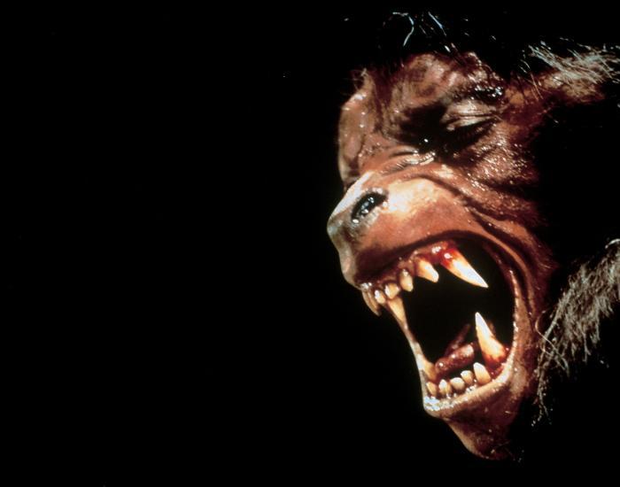 American Werewolf Web Banner