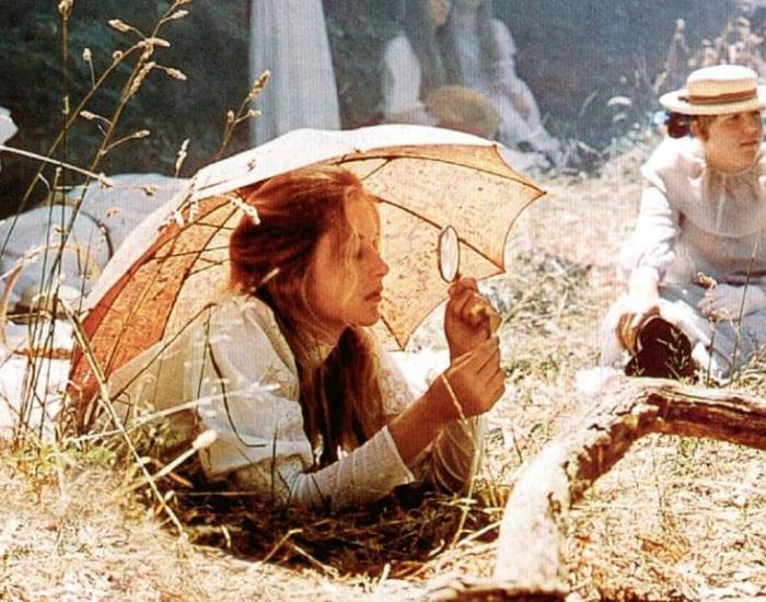 picnic-at-hanging-rock-image