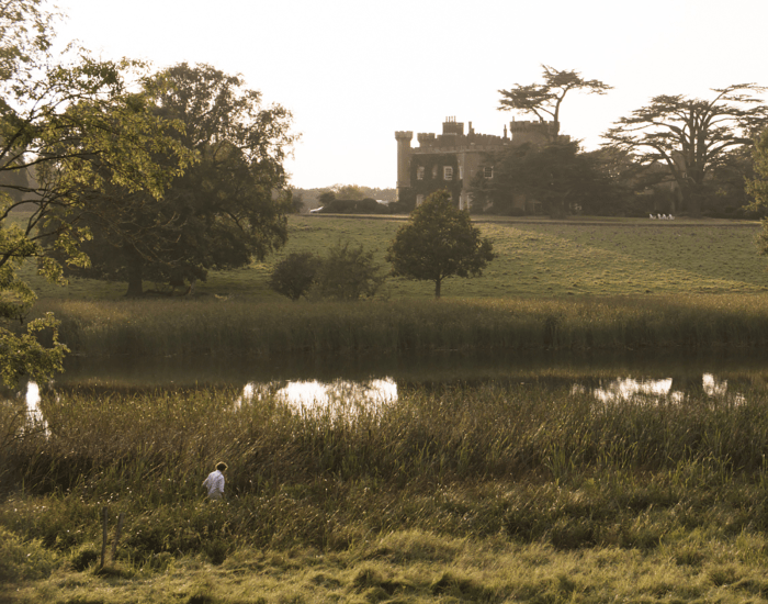 Isabella Tree searches for harvest mice overlooking Knepp Castle